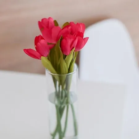 Smart біля оперного театру Apartman