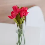 Smart біля оперного театру Apartmán