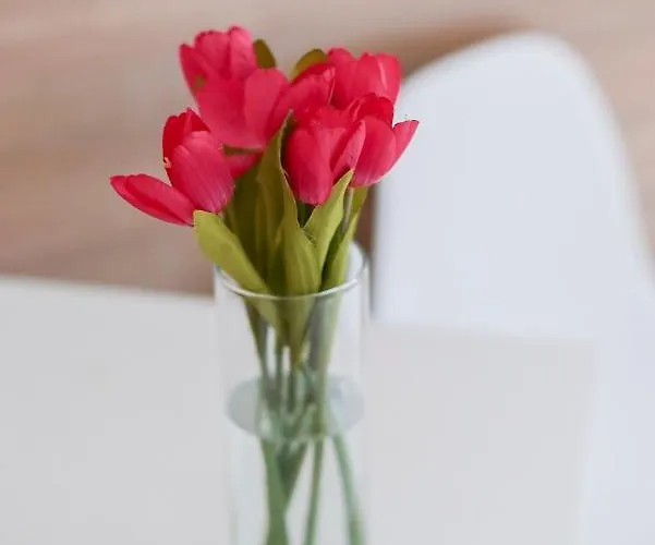 Smart біля оперного театру Apartamento